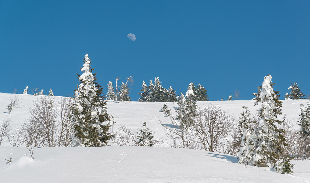 Winter fairytale in the mountains