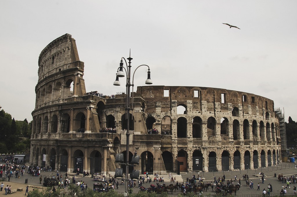 rome51(s)